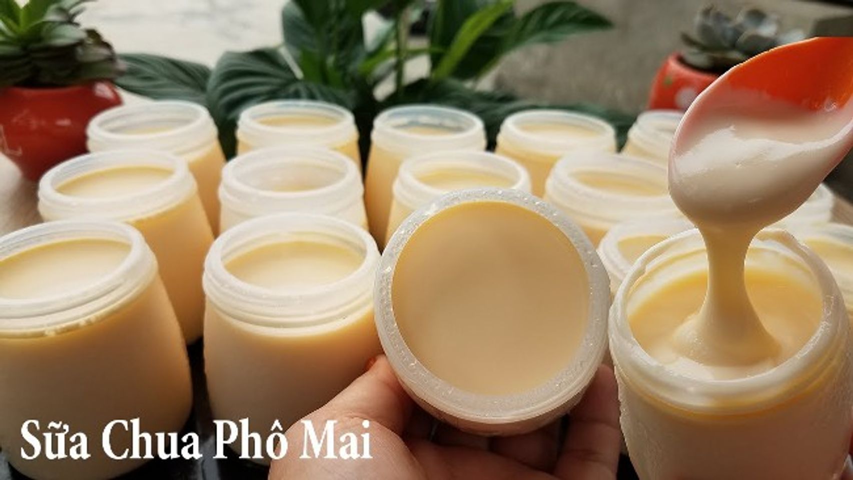 Sữa chua ph&ocirc; mai