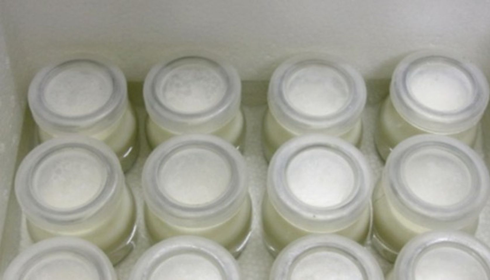 Ủ sữa chua bằng th&ugrave;ng xốp