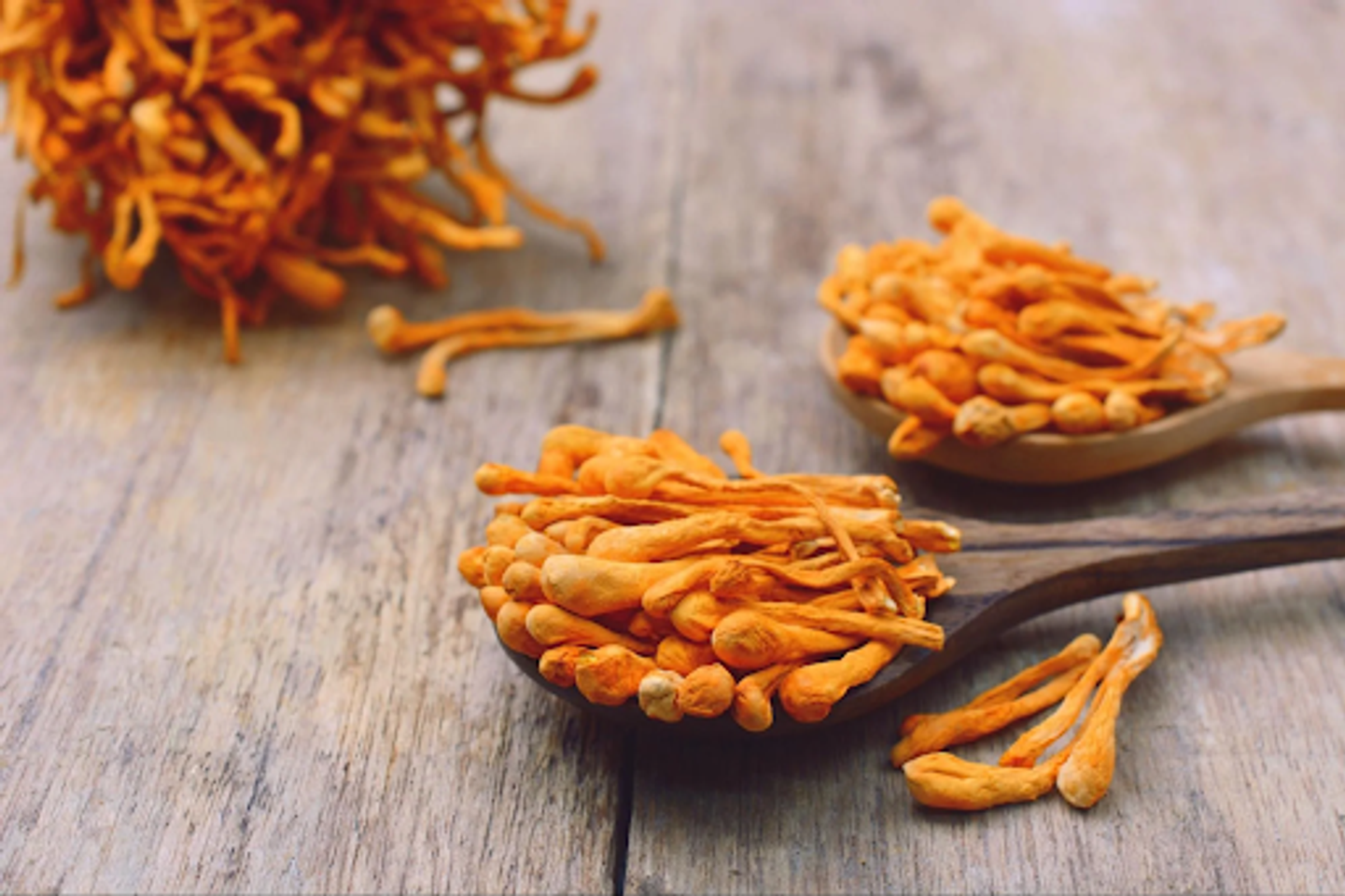 C&aacute;ch uống đ&ocirc;ng tr&ugrave;ng hạ thảo đ&uacute;ng c&aacute;ch