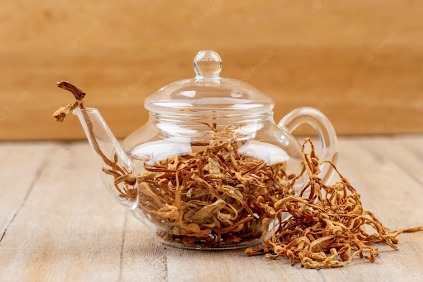 Cơ chế t&aacute;c động của đ&ocirc;ng tr&ugrave;ng hạ thảo tăng c&acirc;n