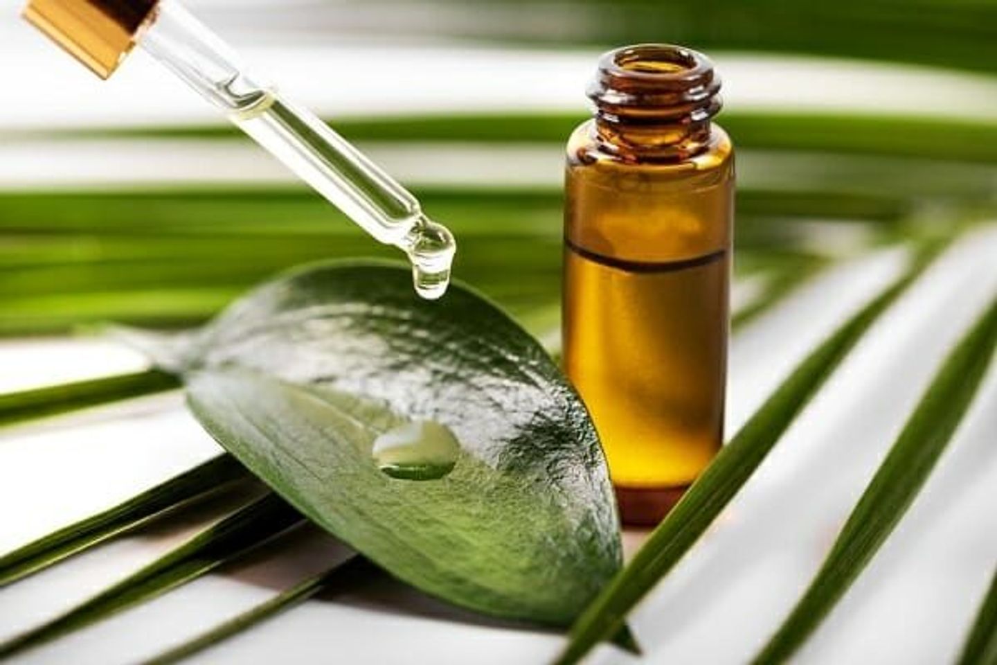 dầu tr&agrave;m cho b&eacute;