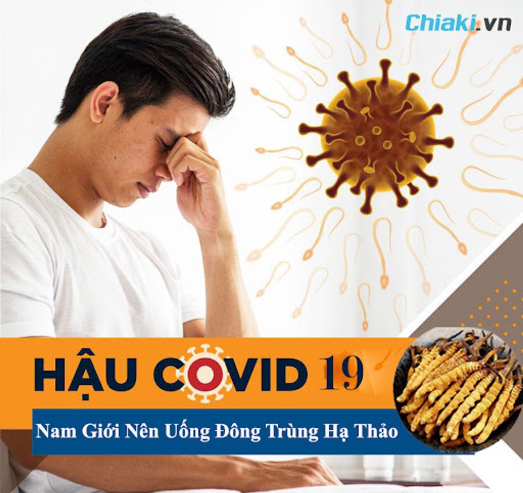 Đ&ocirc;ng tr&ugrave;ng hạ thảo cải thiện di chứng &ldquo;Hậu Covid 19&rdquo; cho nam giới