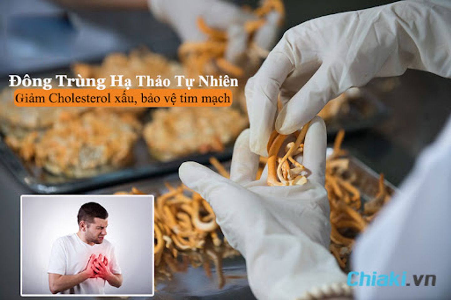 tr&ugrave;ng thảo hỗ trợ giảm Cholesterol c&oacute; hại, bảo vệ tim mạch