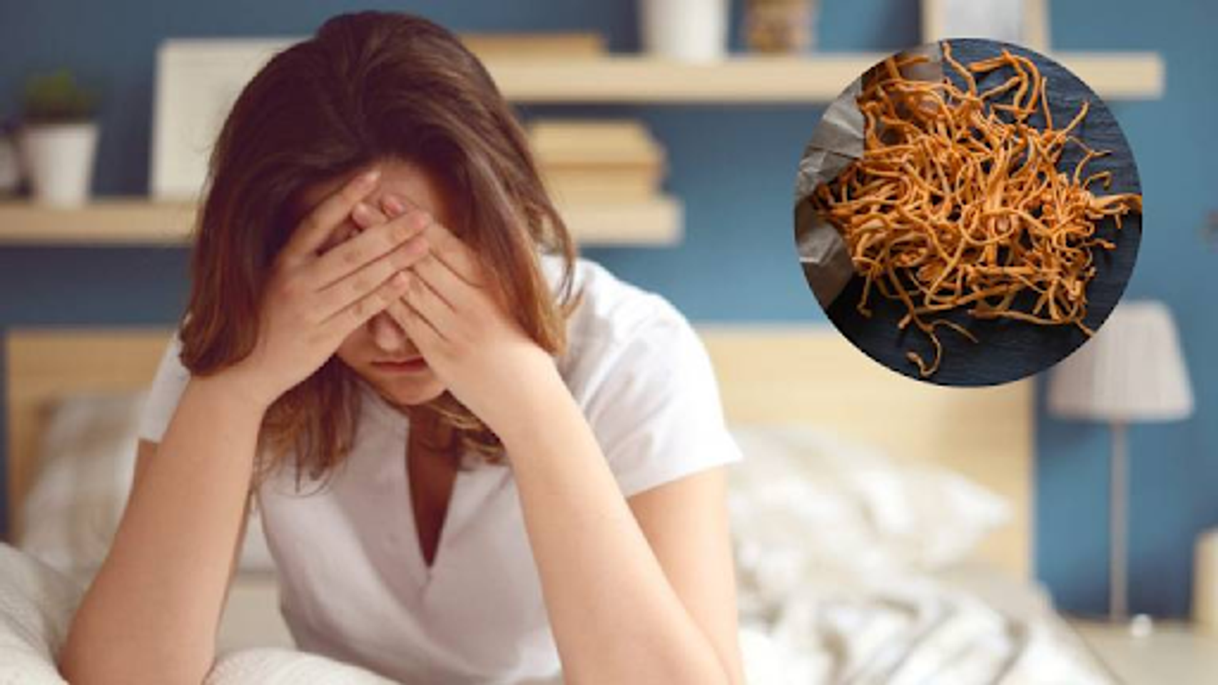 đ&ocirc;ng tr&ugrave;ng hạ thảo hỗ trợ giảm mệt mỏi, căng thẳng