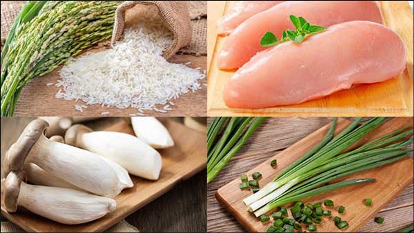 c&aacute;ch nấu ch&aacute;o bằng m&aacute;y l&agrave;m sữa hạt