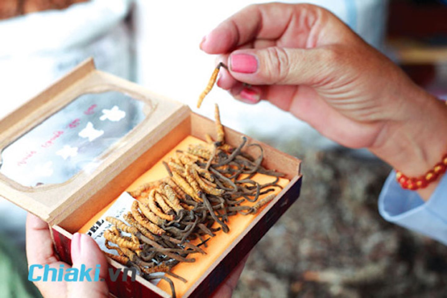 1kg đ&ocirc;ng tr&ugrave;ng hạ thảo gi&aacute; bao nhi&ecirc;u?