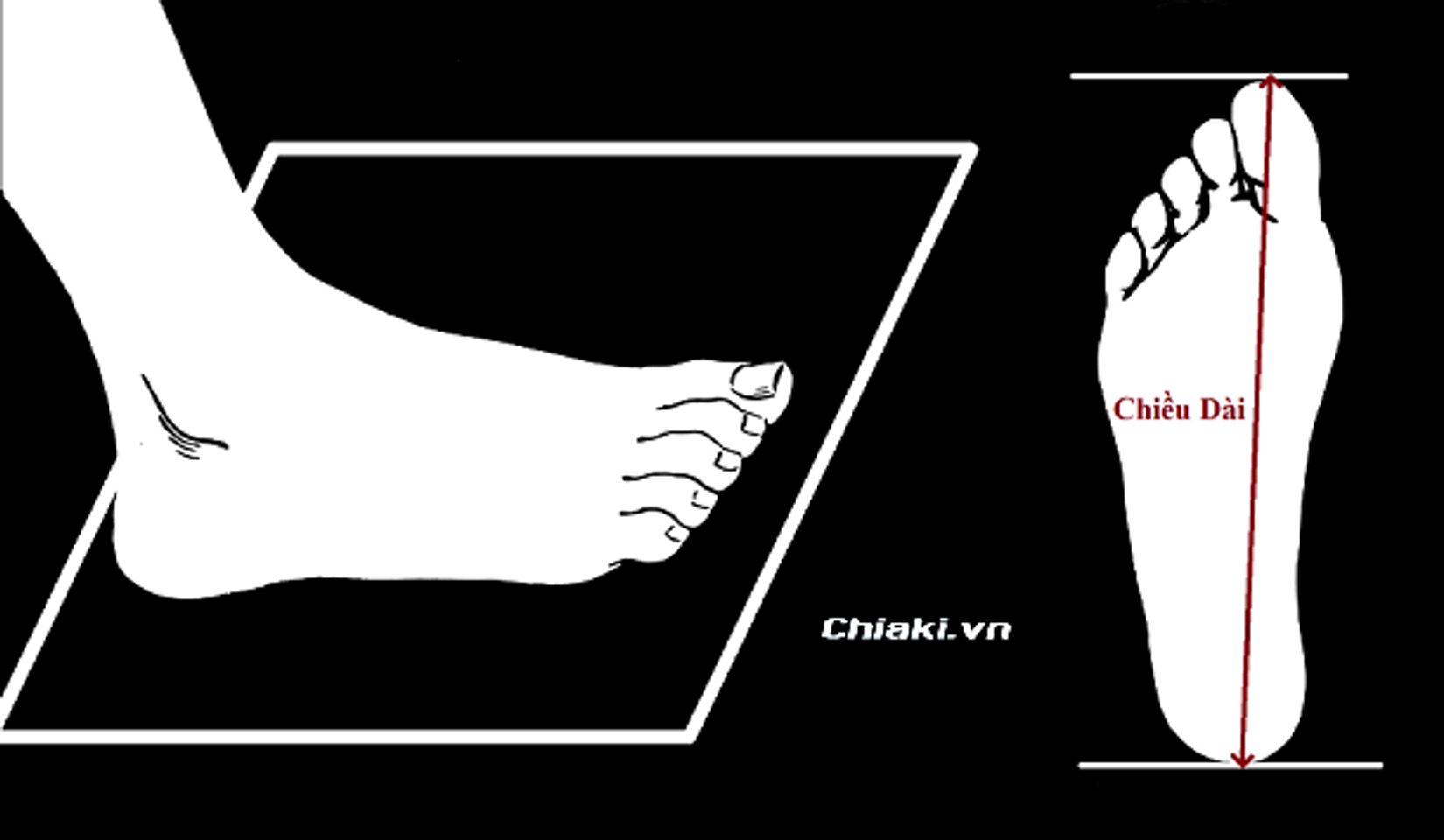 Hướng dẫn c&aacute;ch đo size gi&agrave;y cho chị em