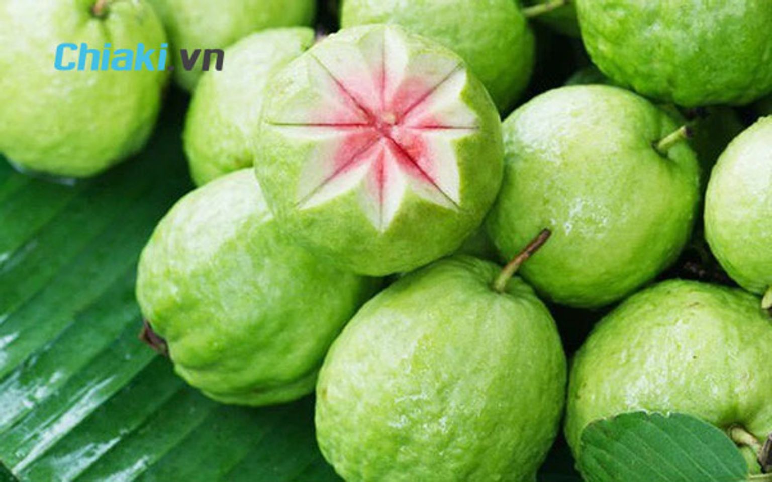 lựa chọn những quả ổi tươi ngon