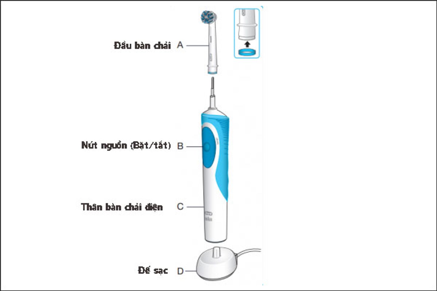 c&aacute;ch sử dụng b&agrave;n chải điện oral b