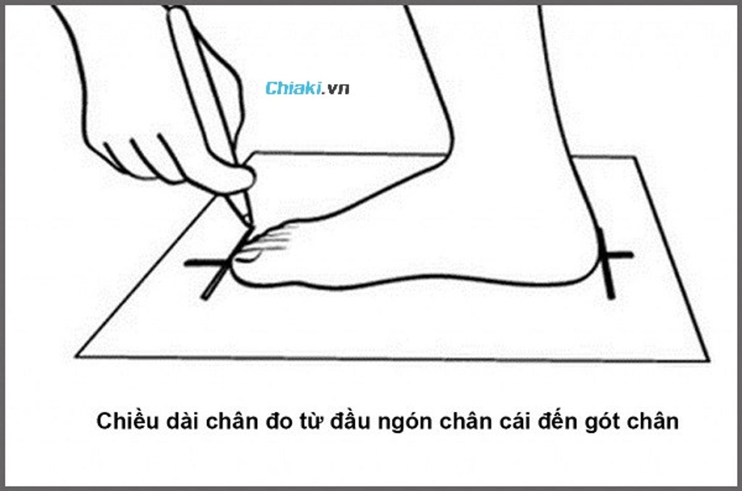 Ch&acirc;n 23cm đi gi&agrave;y size bao nhi&ecirc;u l&agrave; chuẩn?