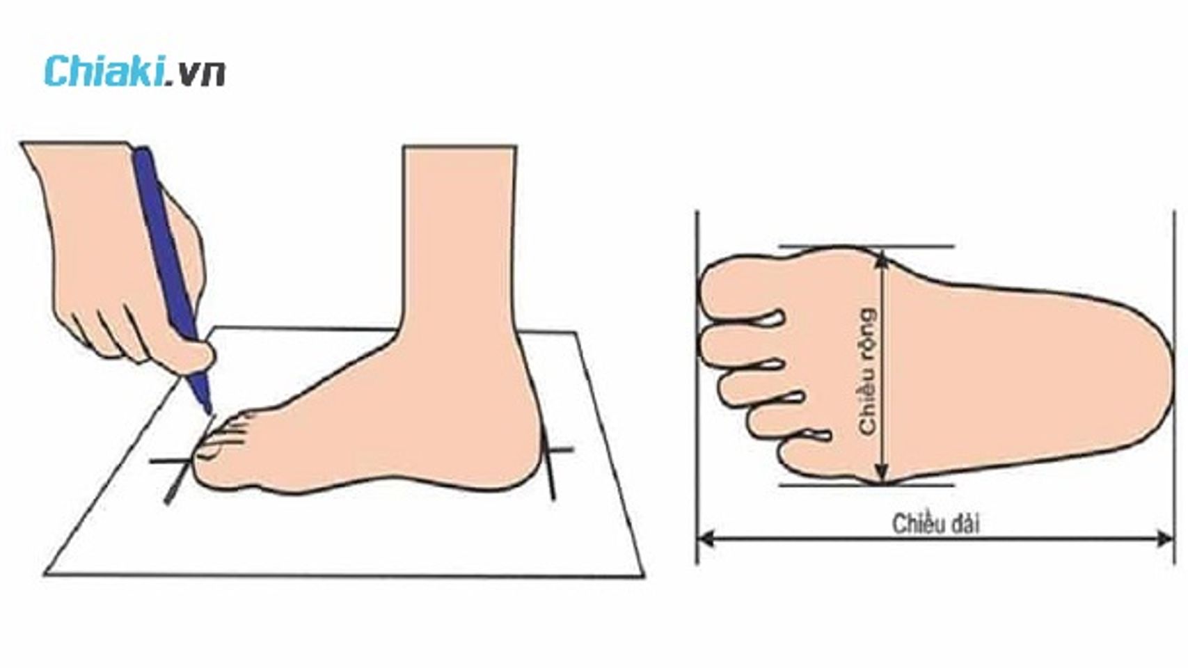 Hướng dẫn c&aacute;c bước đo size ch&acirc;n chuẩn