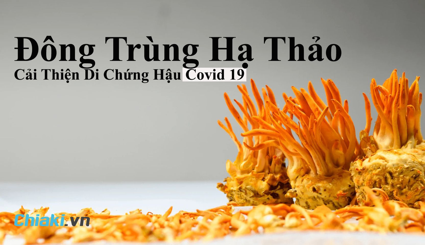 Đ&ocirc;ng tr&ugrave;ng hạ thảo hỗ trợ bổ phổi, cải thiện di chứng hậu Covid 19