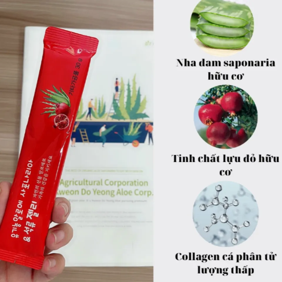 Thạch collagen nha đam Saponaria + lựu đỏ hữu cơ KDY Aloe lành tính với sức khỏe người dùng