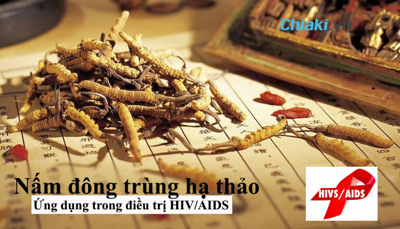 đ&ocirc;ng tr&ugrave;ng hạ thảo được ứng dụng trong điều trị HIV/AIDS