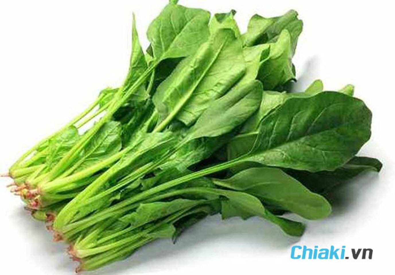 Cải b&oacute; x&ocirc;i chứa lượng vitamin A đ&aacute;ng kể