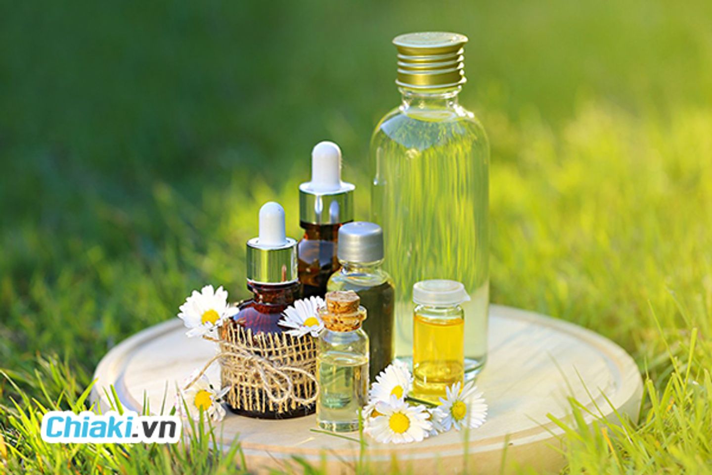 Mỹ phẩm thuần chay là gì? Top 10 thương hiệu nổi tiếng tại Việt Nam