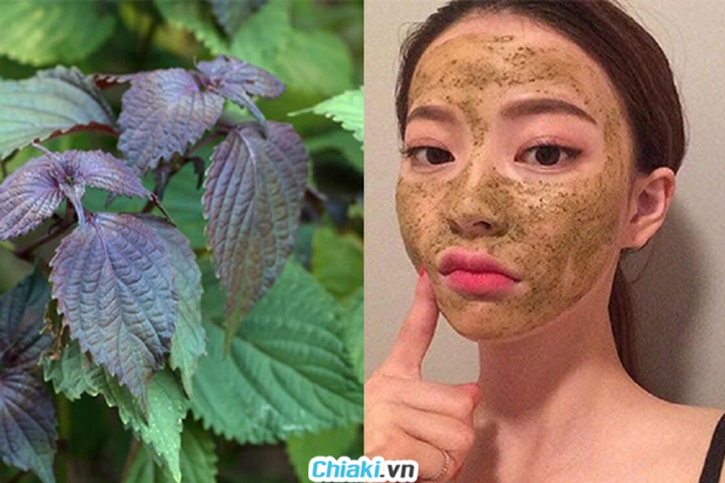 Mặt nạ t&iacute;a t&ocirc; gi&uacute;p hỗ trợ trắng da v&agrave; ngừa mụn
