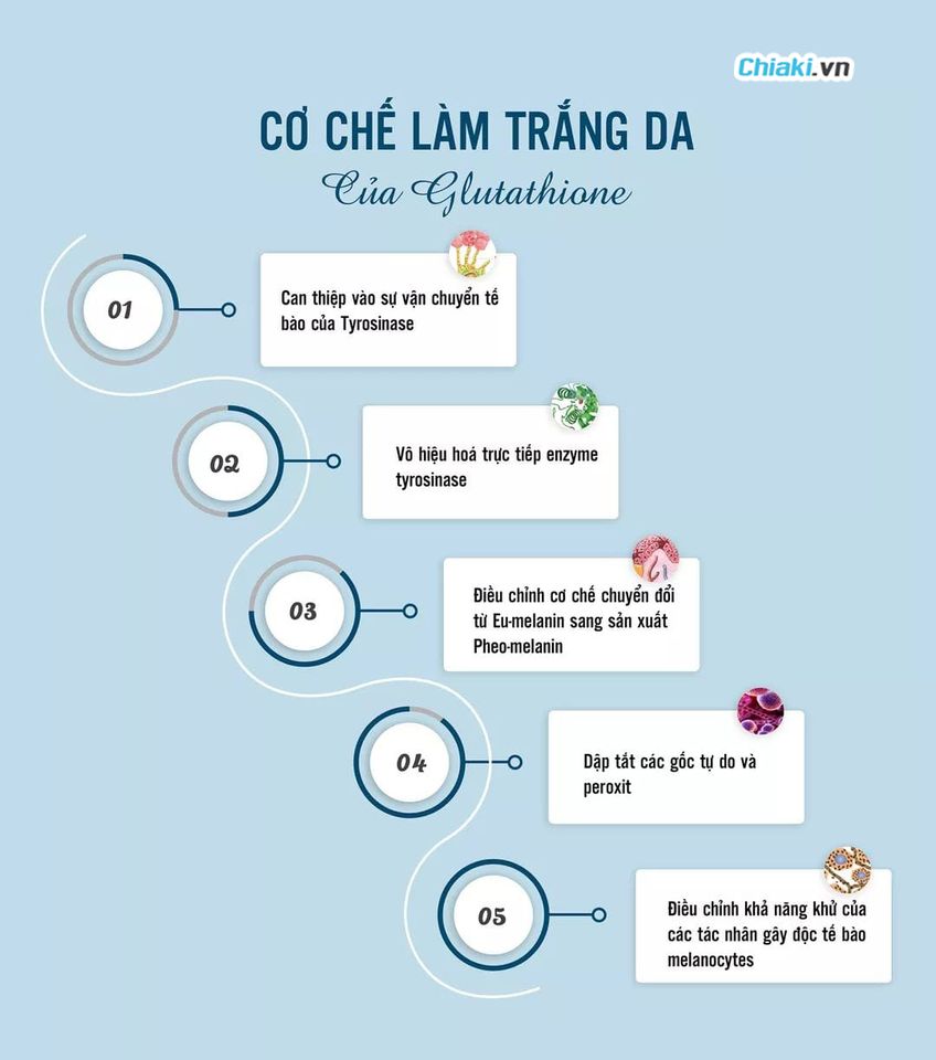 Cơ chế hoạt động của Glutathione