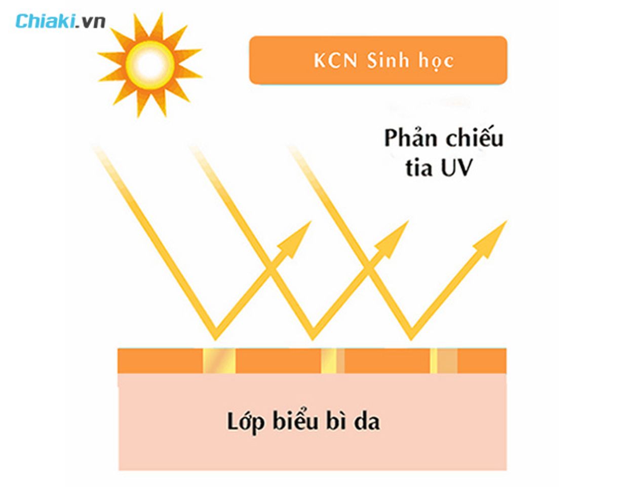 kem chống nắng sinh học hoạt động tr&ecirc;n cơ chế phản quang