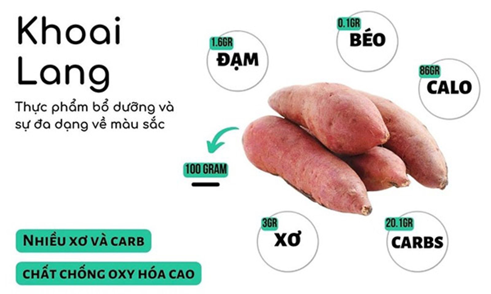 Trong khoai lang c&oacute; nhiều chất dinh dưỡng