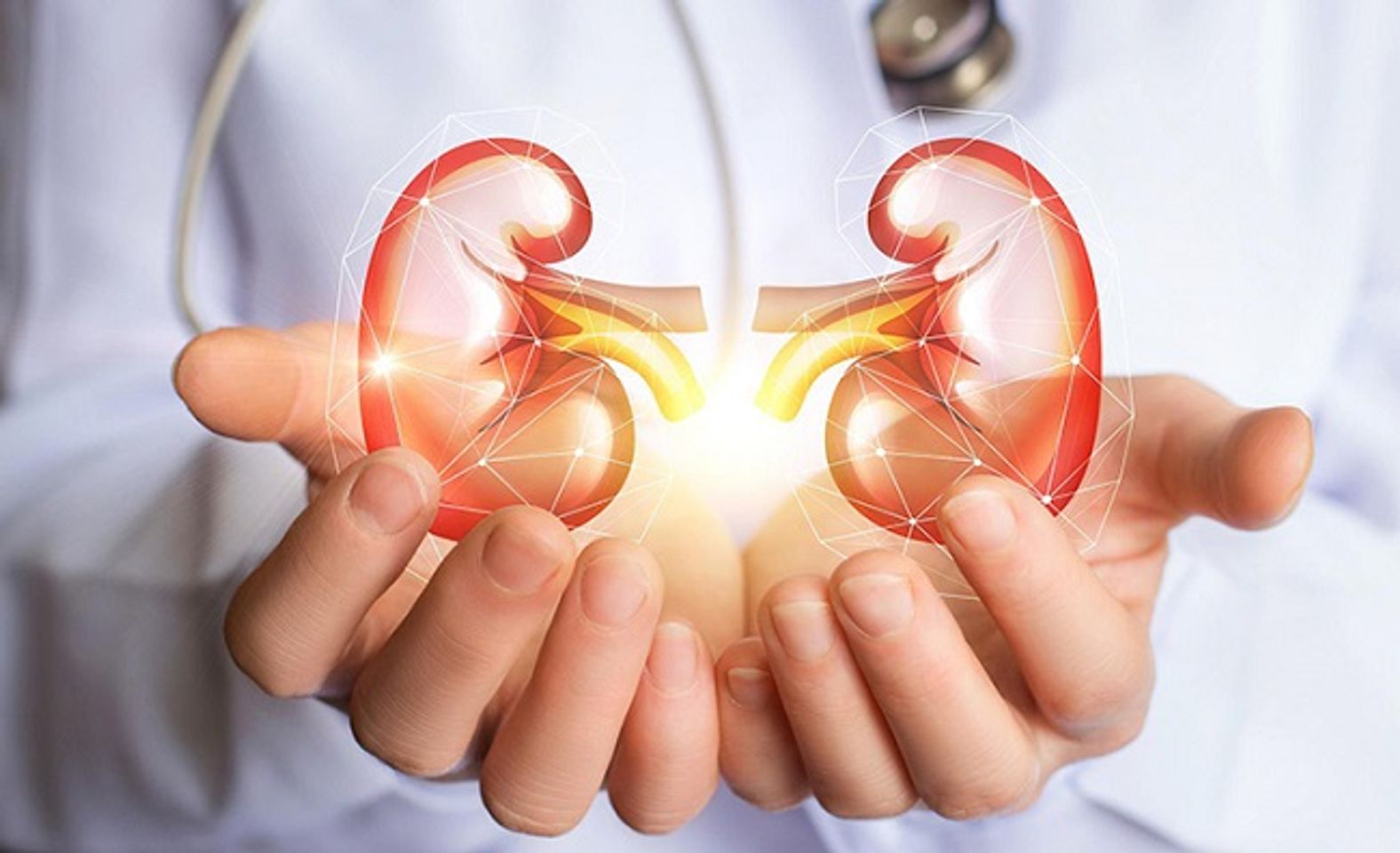 Vai tr&ograve; của thận với cơ thể