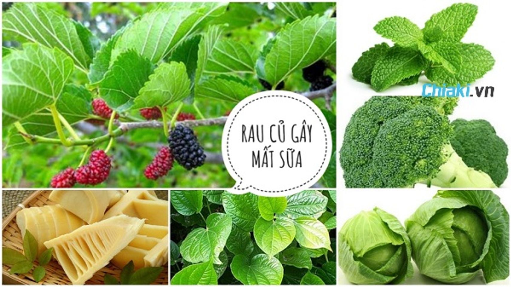 Những thực phẩm l&agrave;m mất sữa mẹ cần tr&aacute;nh