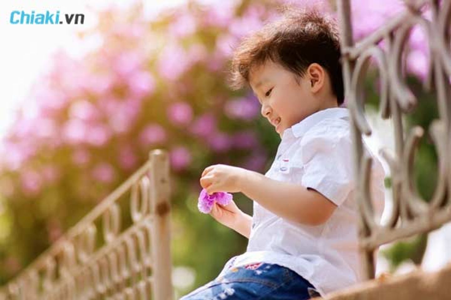 T&ecirc;n b&eacute; trai họ Trương