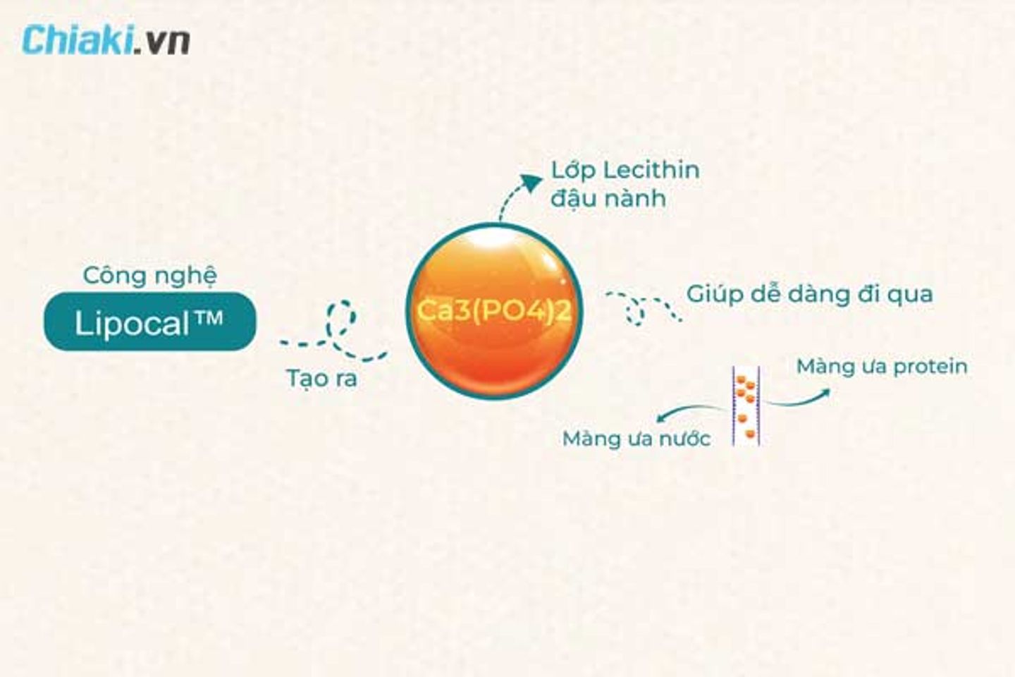 Canxi sinh học l&agrave; g&igrave;