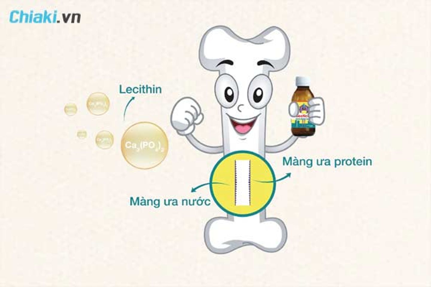 C&ocirc;ng nghệ Lipocal tạo ra canxi sinh học&nbsp;