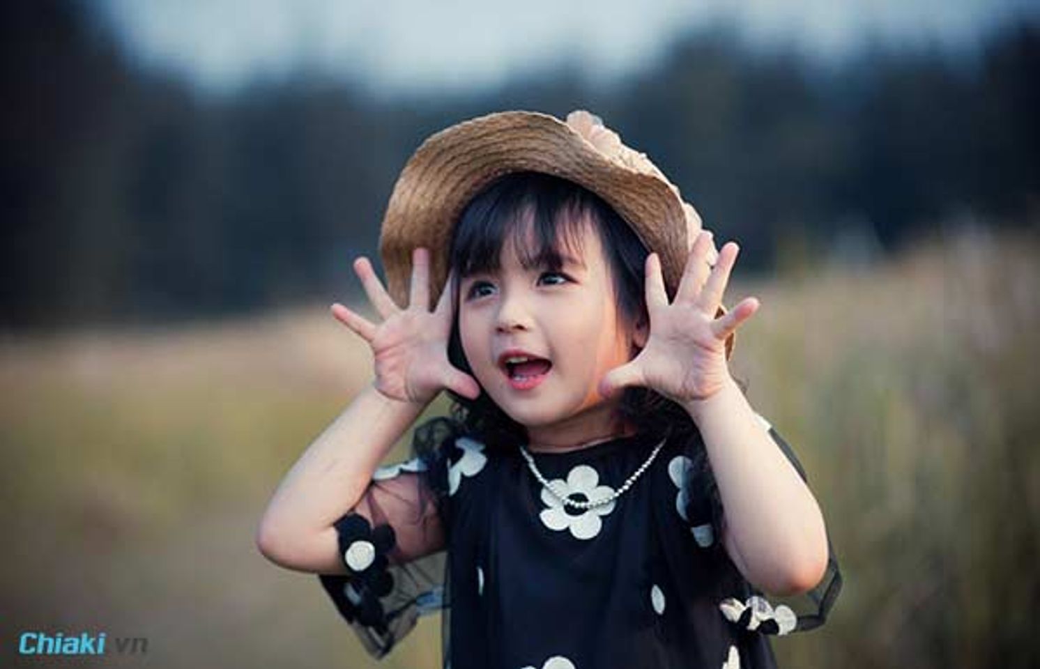 t&ecirc;n con g&aacute;i họ Dương bắt đầu bằng chữ a