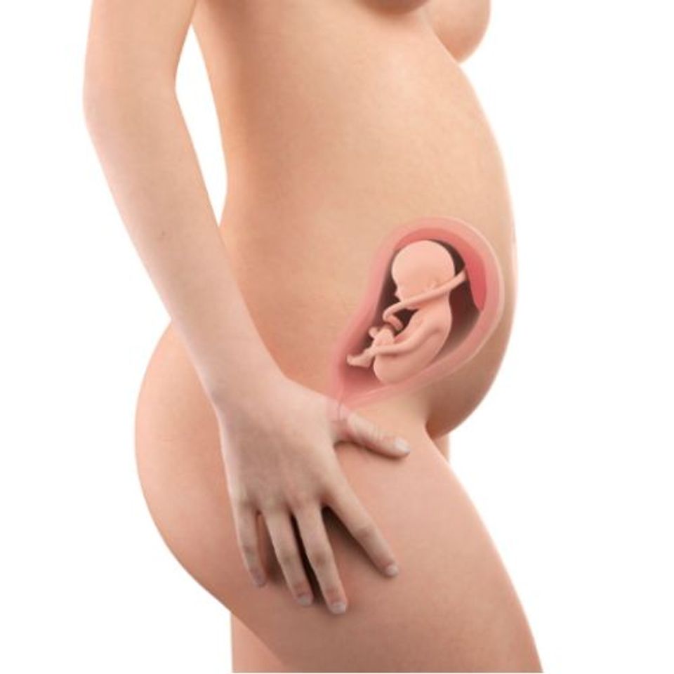 H&igrave;nh ảnh bụng bầu th&aacute;ng 8 (tuần 32-35)