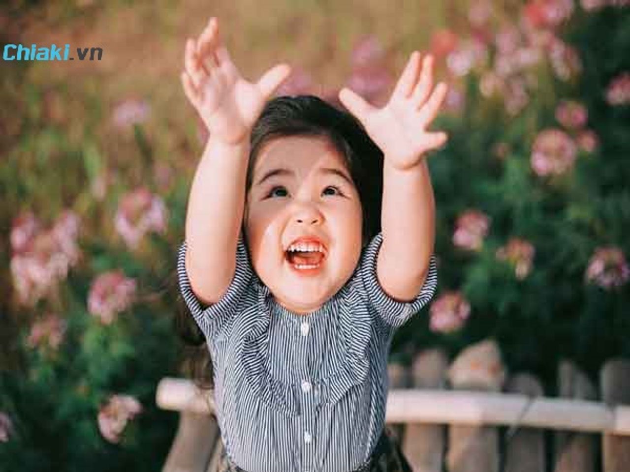 Đặt t&ecirc;n con g&aacute;i họ Huỳnh theo chữ c&aacute;i
