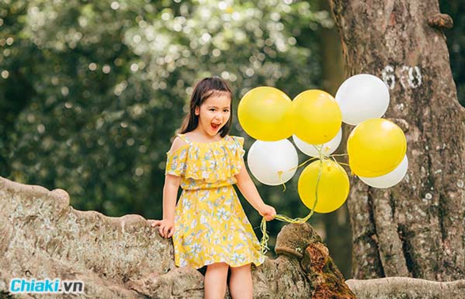 t&ecirc;n con g&aacute;i họ v&otilde; bắt đầu bằng chữ d
