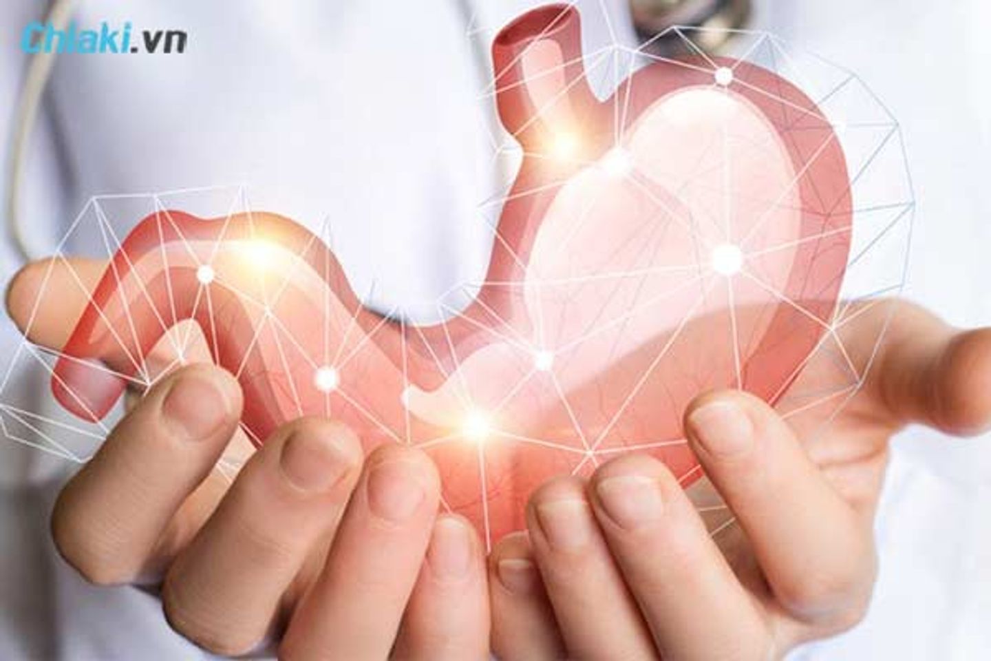 Sử dụng Fucoidan gi&uacute;p bảo vệ dạ d&agrave;y, hạn chế c&aacute;c bệnh đường ti&ecirc;u h&oacute;a