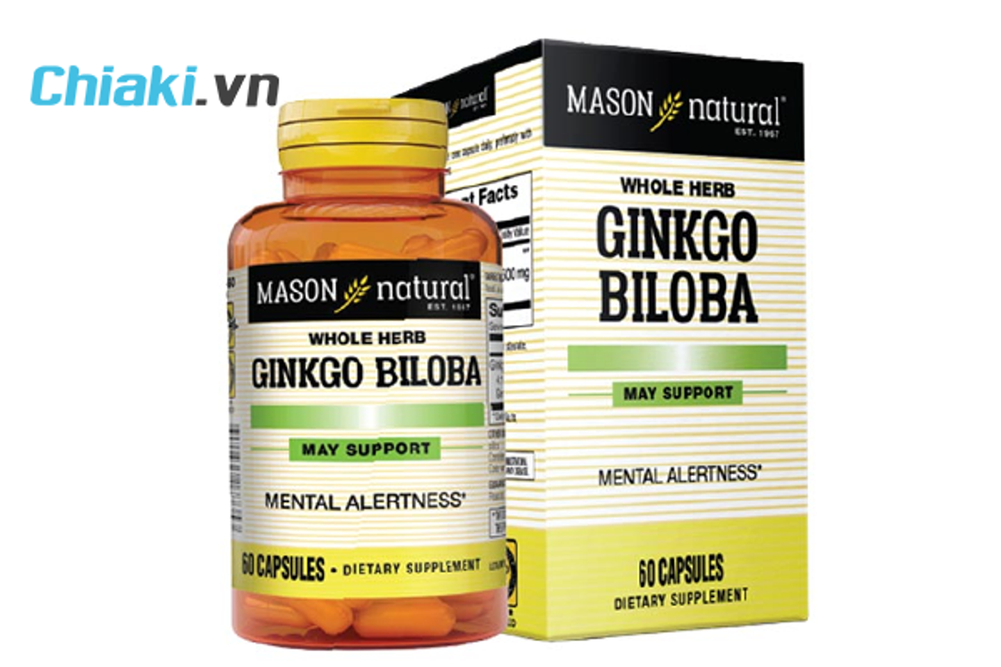 Vi&ecirc;n uống Ginkgo Biloba 500mg Mason Natural