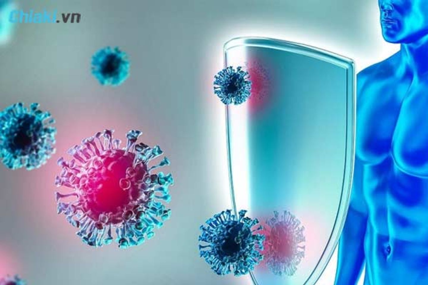 Tảo Fucoidan tăng cường miễn dịch, chống vi khuẩn, virus
