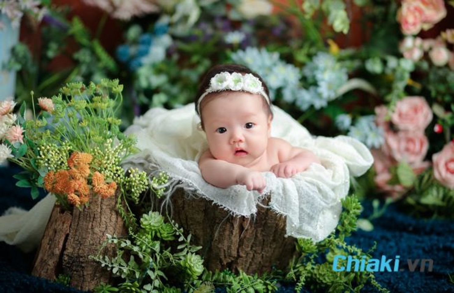 T&ecirc;n con g&aacute;i họ L&ecirc; 4 chữ