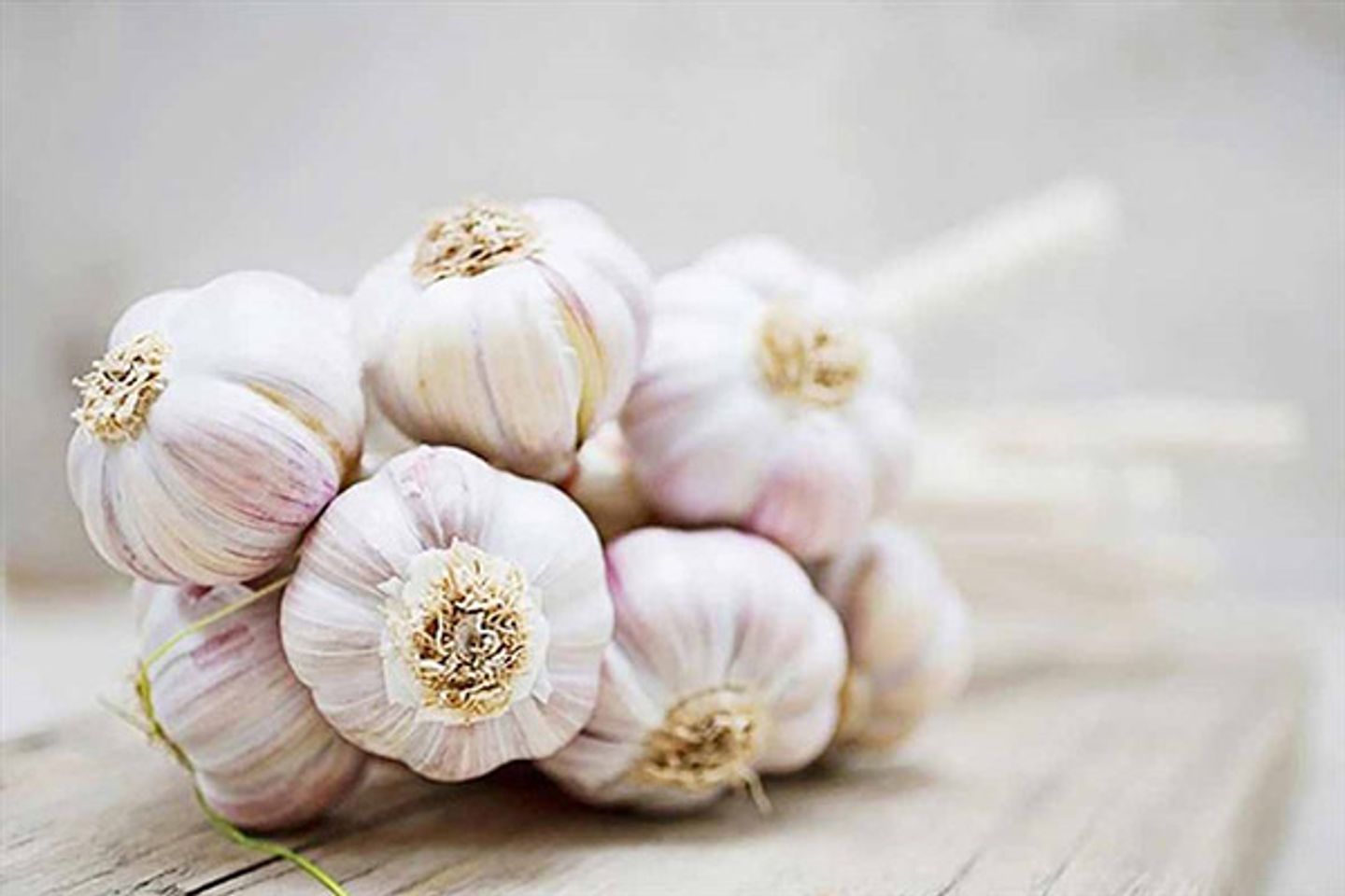 tỏi l&agrave; thực phẩm tốt cho gan