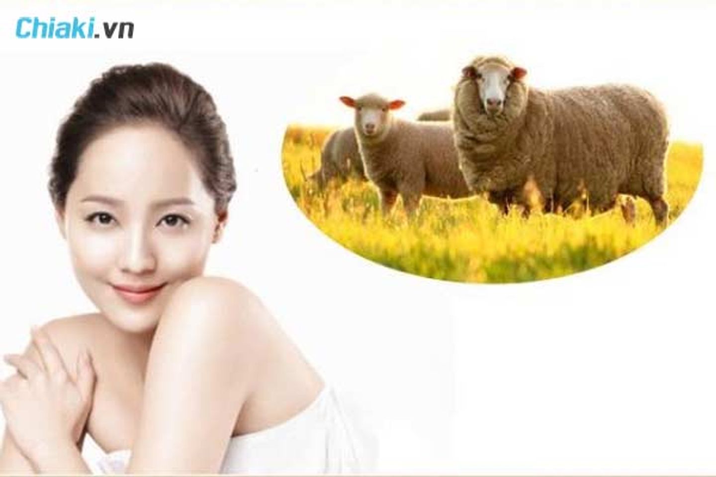 Uống nhau thai cừu bao l&acirc;u th&igrave; c&oacute; ưu &dstrok;iểm