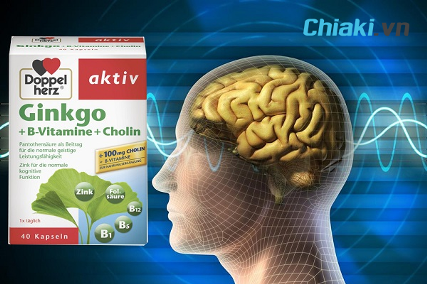 Vi&ecirc;n Ginkgo Biloba Vitamin B + Cholin Doppelherz Aktiv