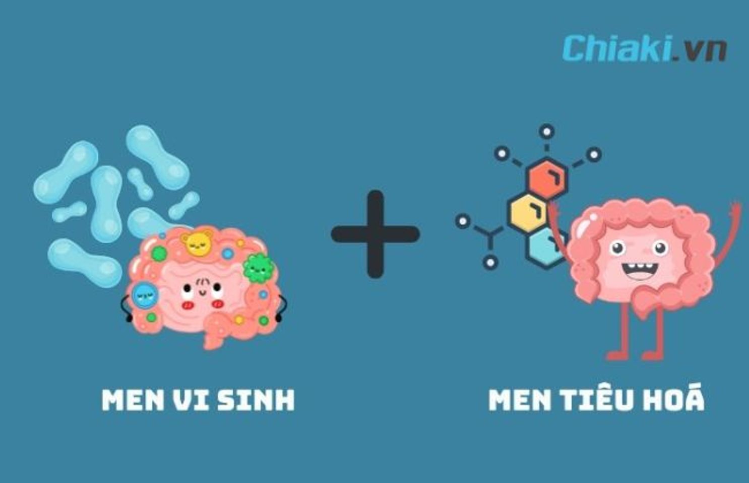 men ti&ecirc;u h&oacute;a v&agrave; men vi sinh