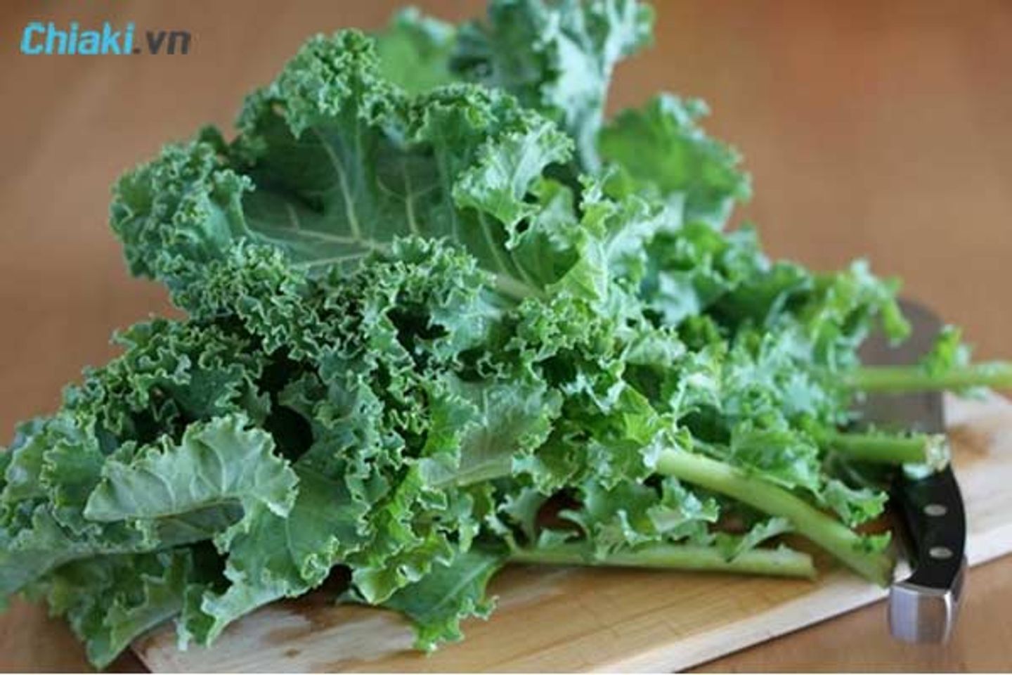 Cải xoăn cung cấp h&agrave;m lượng lớn vitamin A cho cơ thể