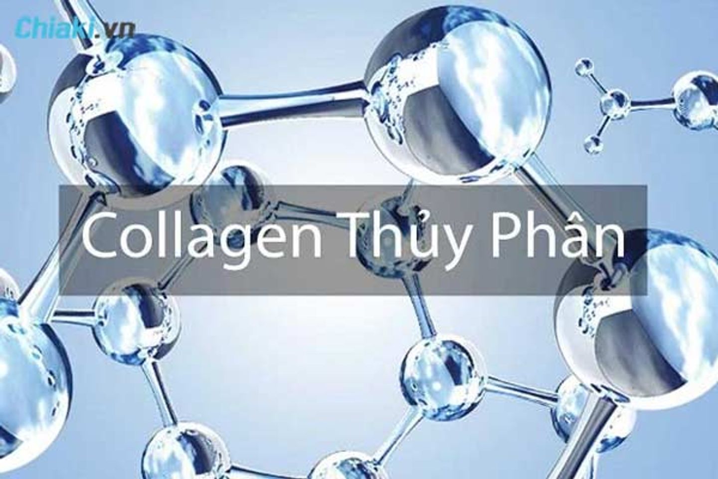 Collagen Thủy Ph&acirc;n l&agrave; g&igrave;
