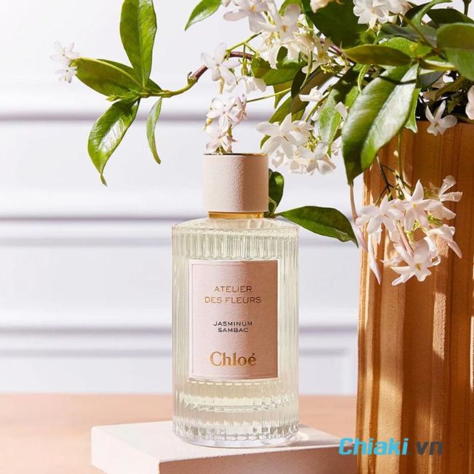 Nước hoa hương nh&agrave;i cho nữ Chloe