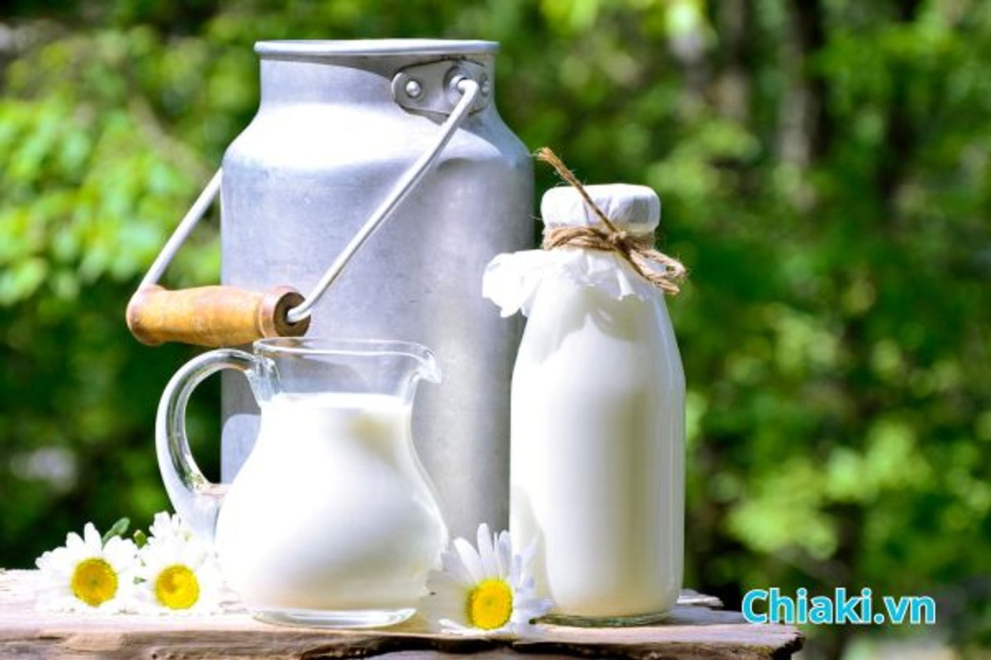 Lợi &iacute;ch của sữa đối với sức khỏe