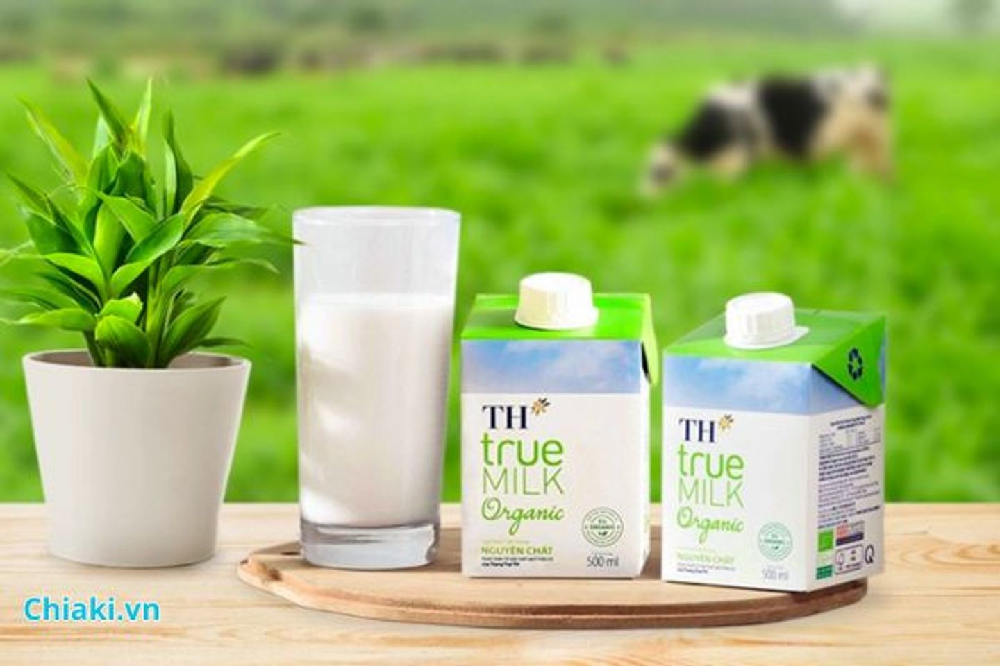 Sữa tươi kh&ocirc;ng đường của TH True Milk