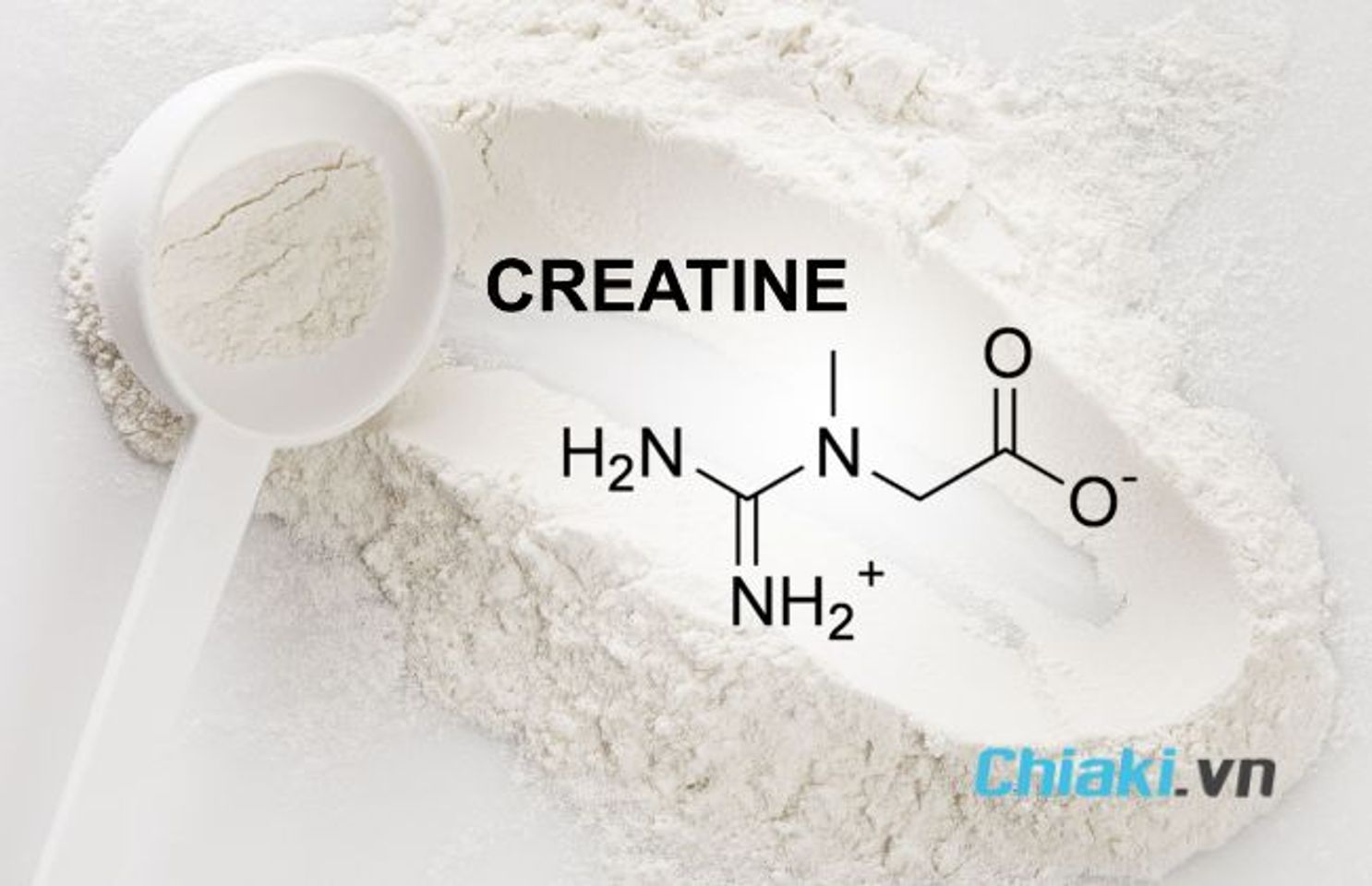 Creatine l&agrave; g&igrave;
