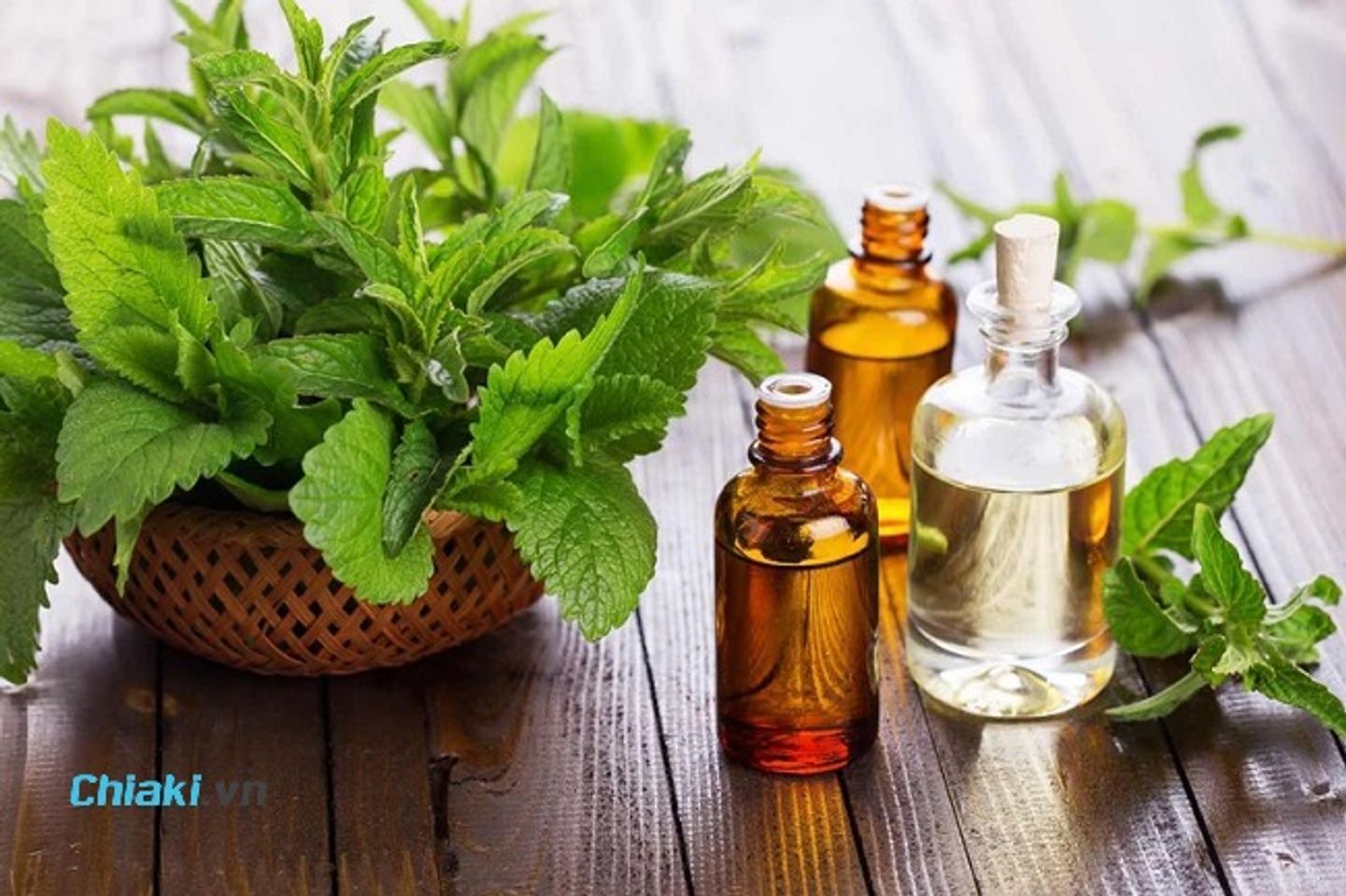 Nước s&uacute;c miệng quế bạc h&agrave;
