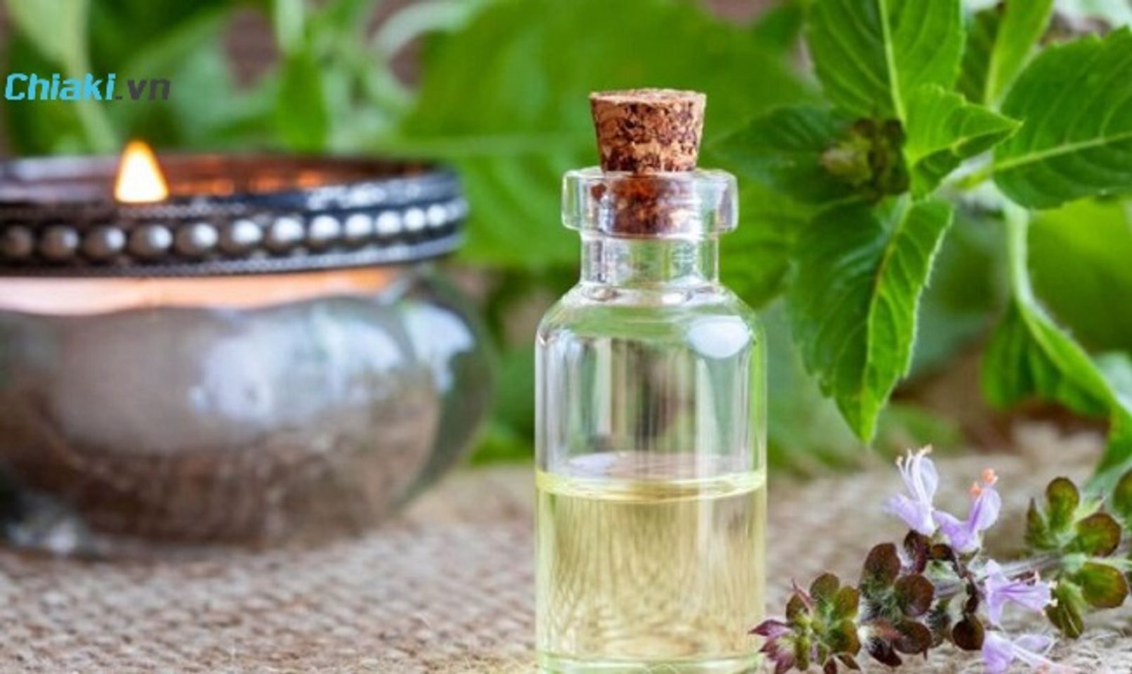 Ti&ecirc;u ch&iacute; chọn nước s&uacute;c miệng thảo mộc