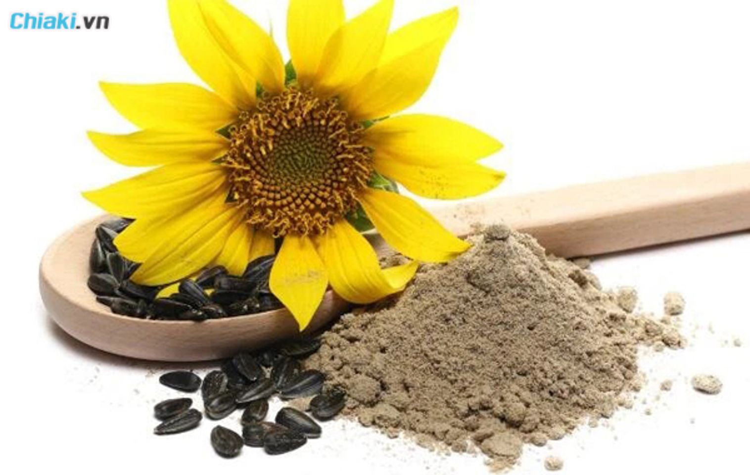 bột protein thực vật từ hạt hướng dương